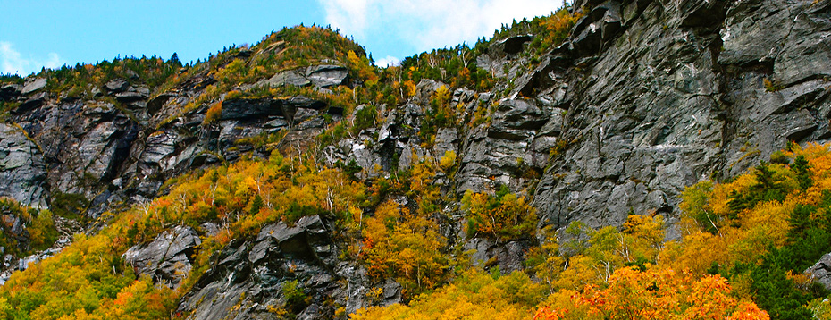 Stephen Petersen Design - Web Design Keene NH