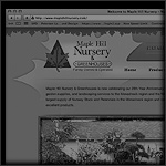 Stephen Petersen Design - Web Design Keene NH